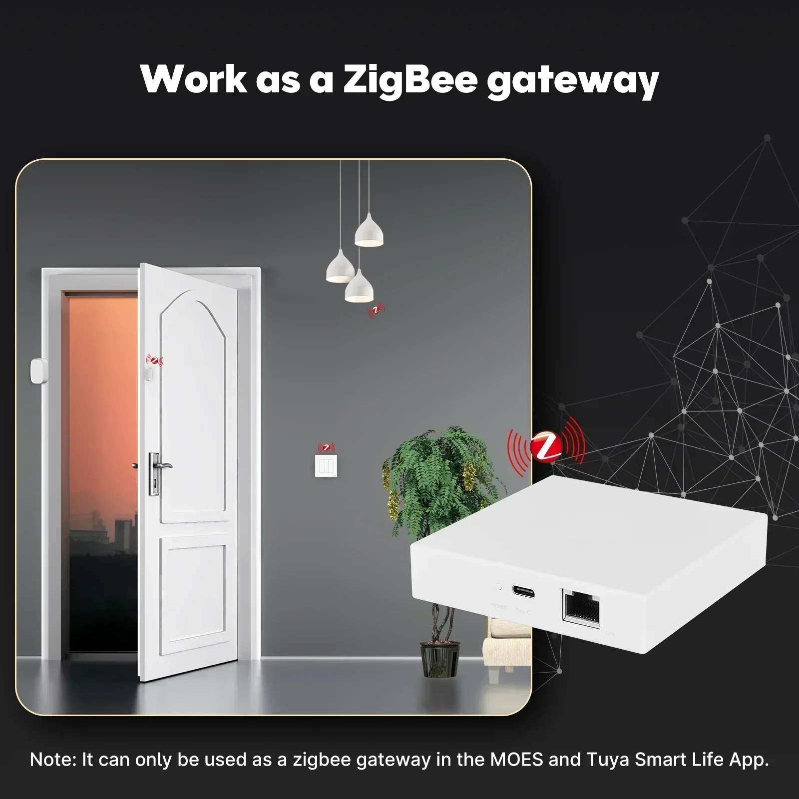 MOES Tuya Zigbee Matter Thread - Smart Home Group บทวิจารณ์และราคา